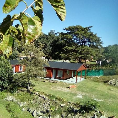 Cabañas los Plátanos La Granja Esterno foto