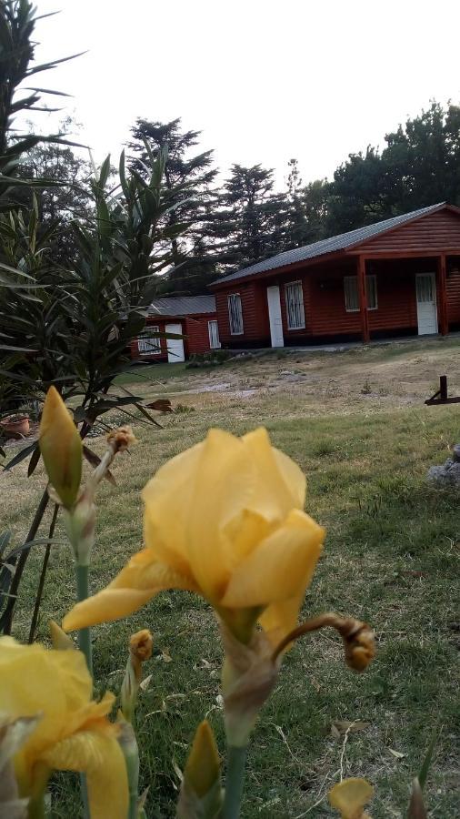 Cabañas los Plátanos La Granja Esterno foto