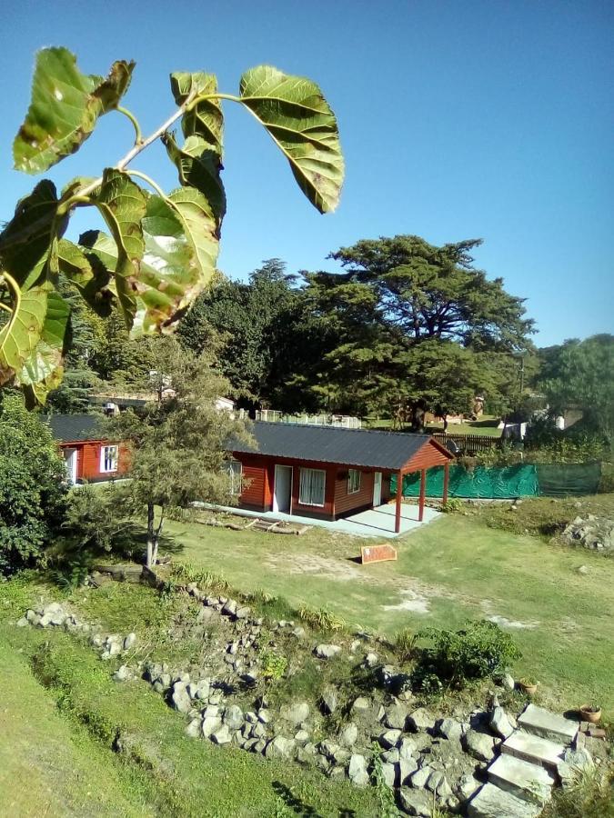 Cabañas los Plátanos La Granja Esterno foto