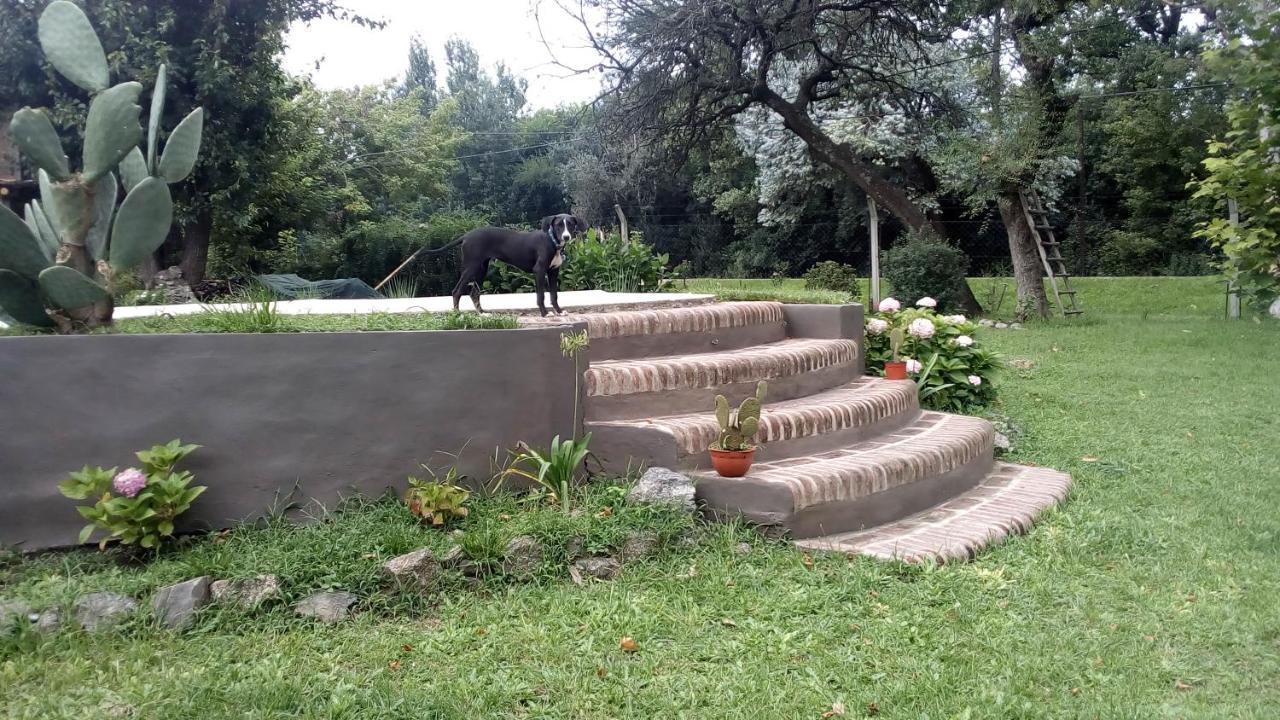 Cabañas los Plátanos La Granja Esterno foto